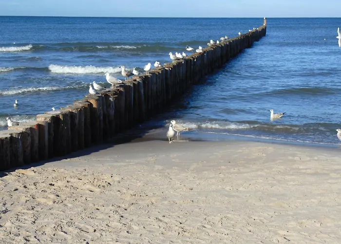 Planeta 110 Mielno (Koszalin)